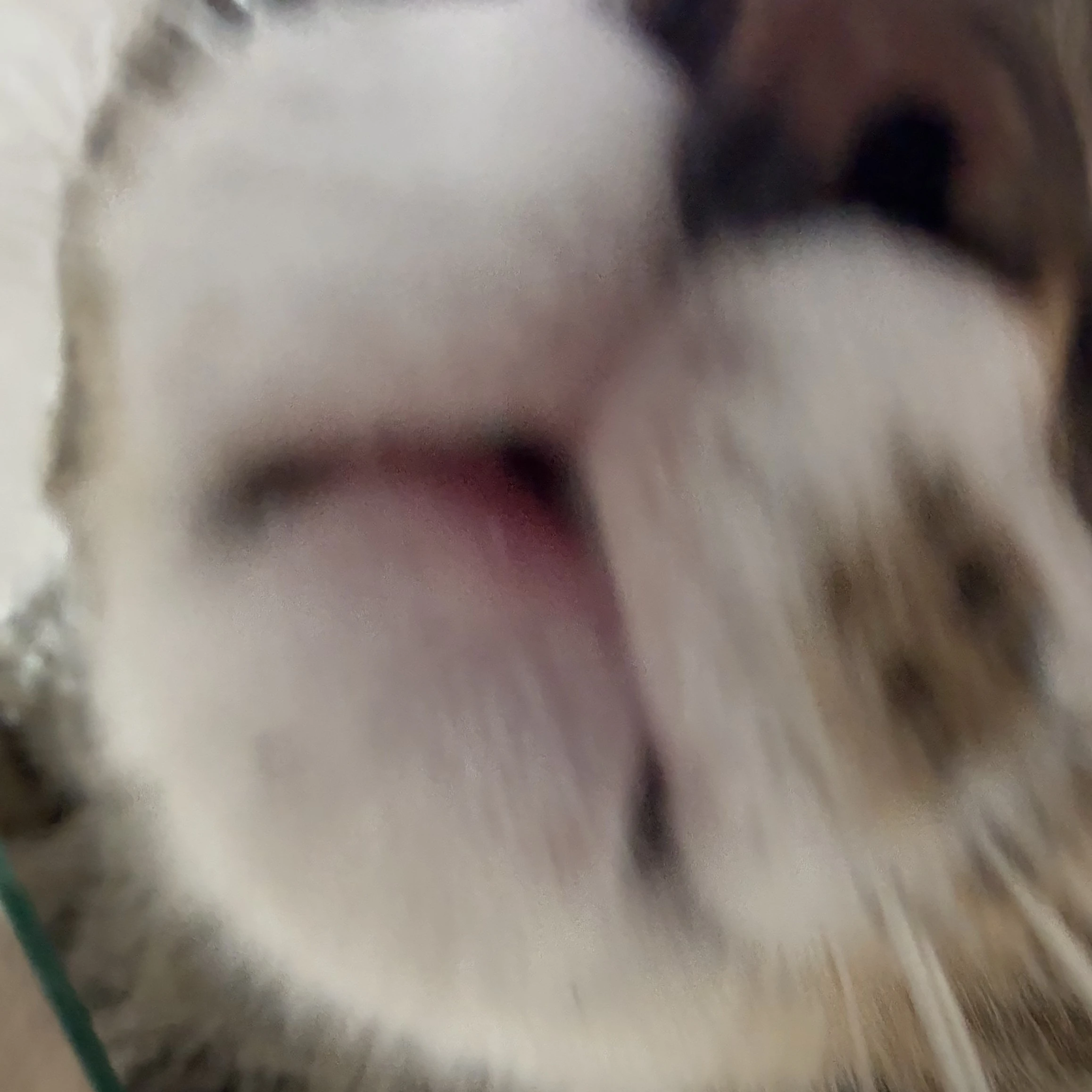 이민호