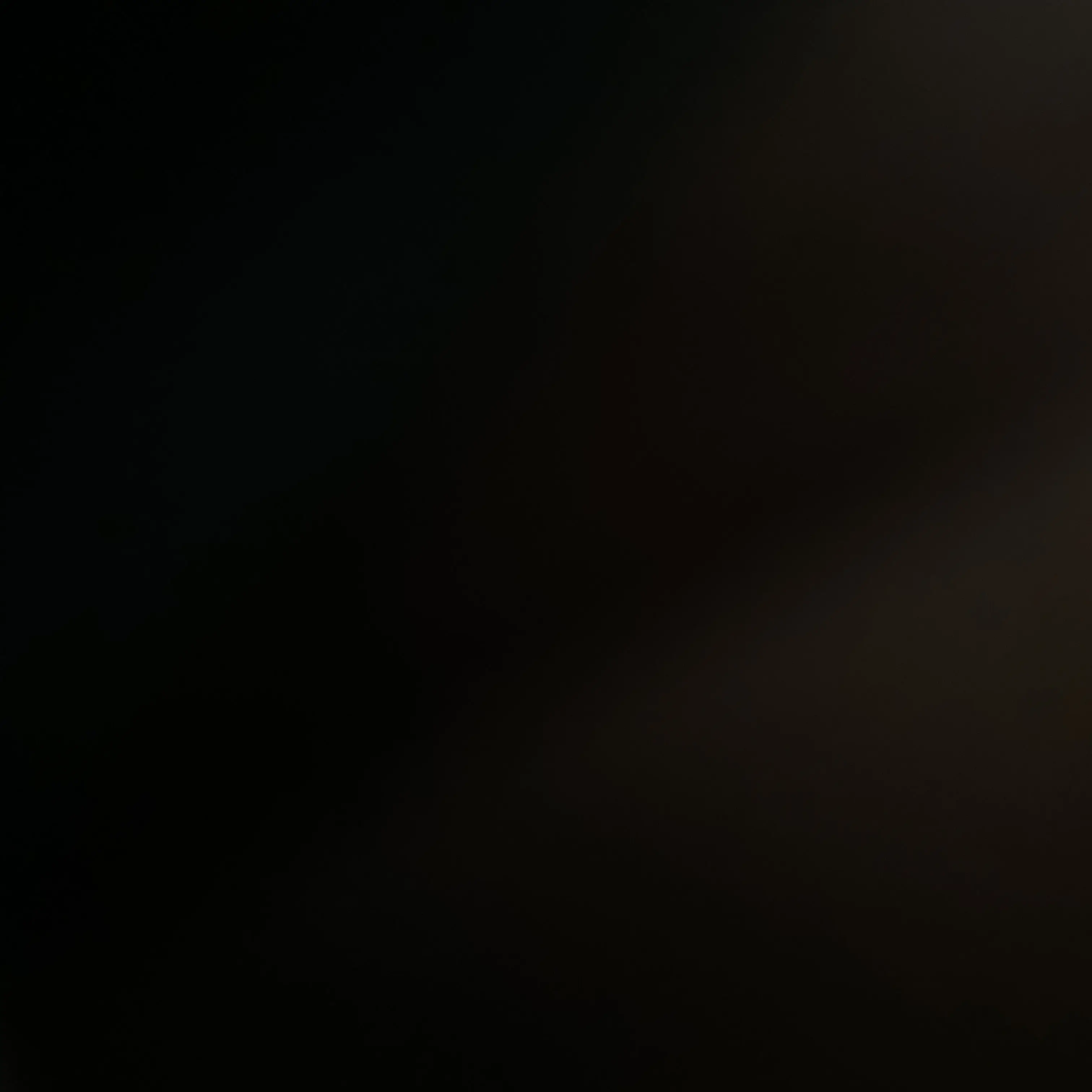 WiryCode0829의 도건우