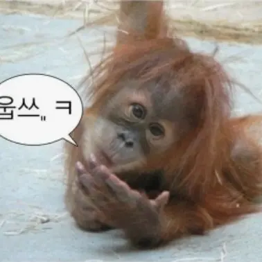 Profile image of 오랑이