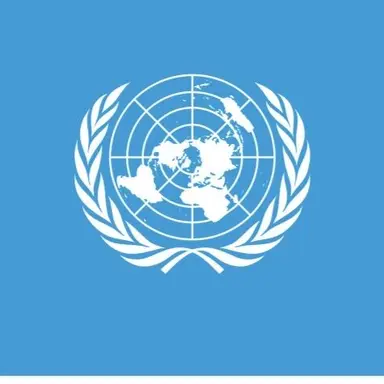 Profile image of 国連