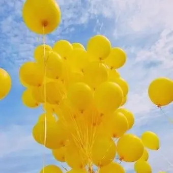 Profile image of 쪼만
