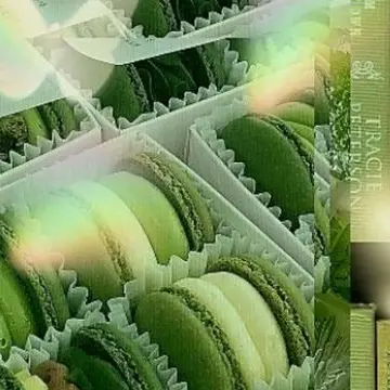Profile image of 공룡