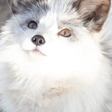 Profile image of スヒョン