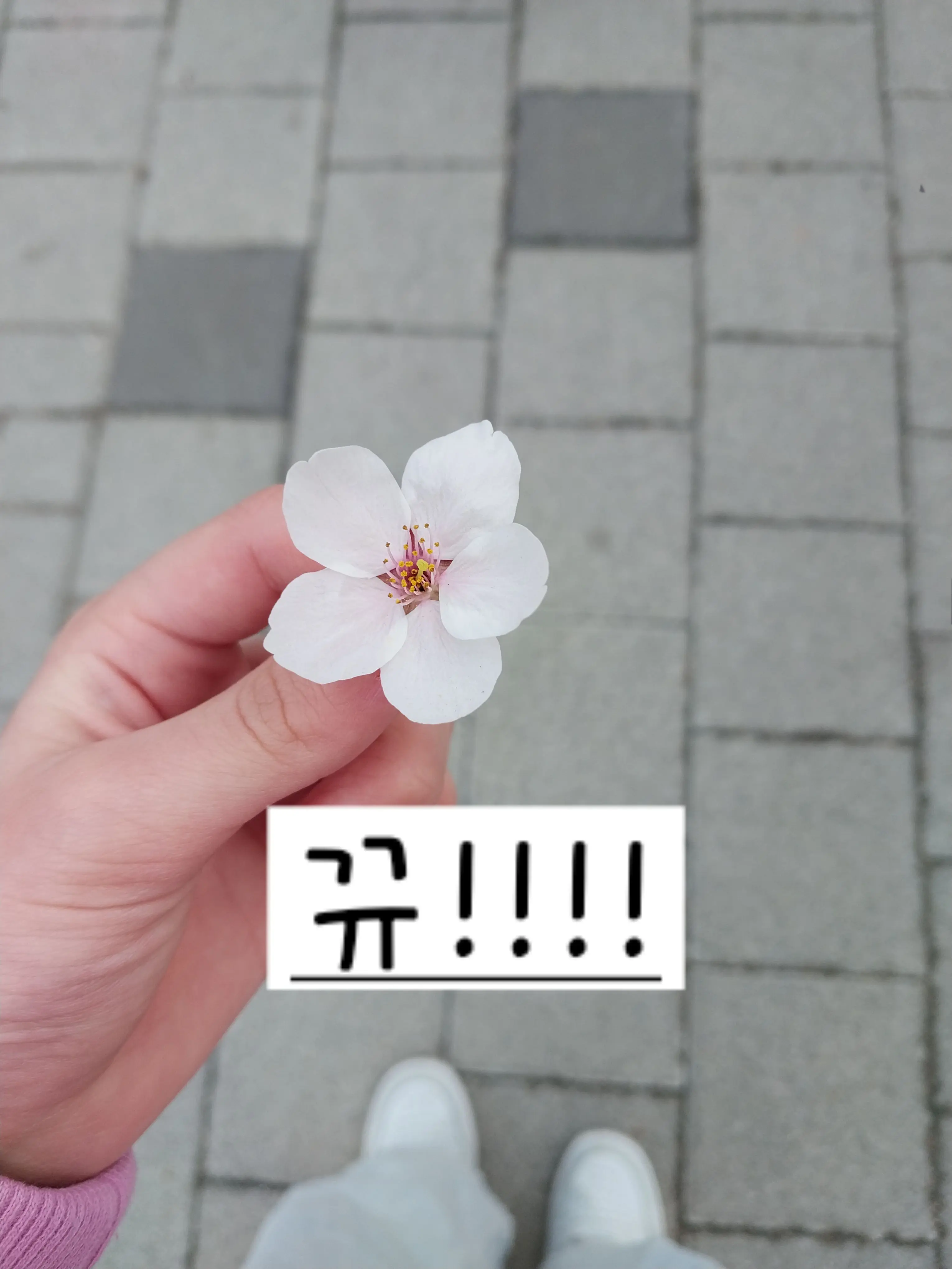hdhdfke의 유기사와듀엣을?!