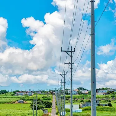 Profile image of 정공룡