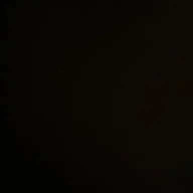 Profile image of 베로