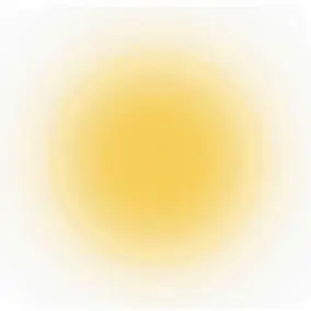 mafu5173251127의 岩本照