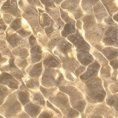 Profile image of 아이리스