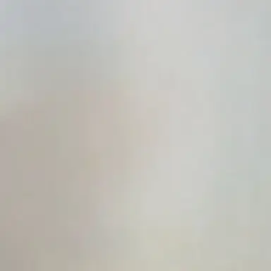 Profile image of 한지성