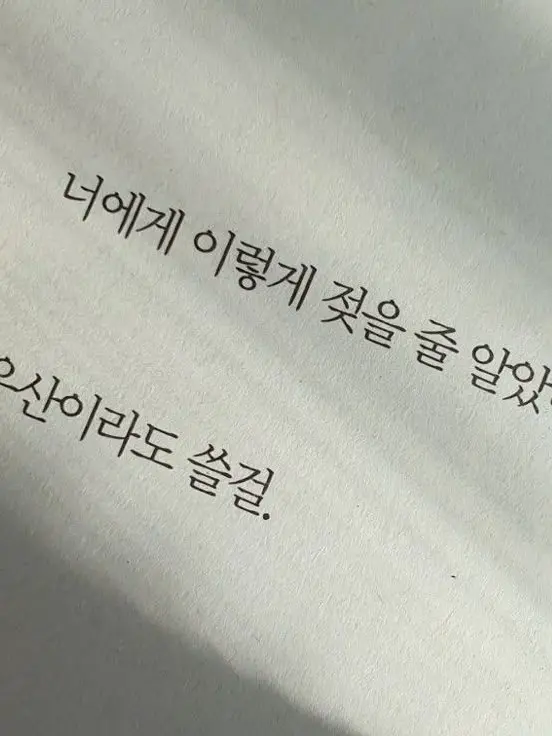 StumpyTea3179의 항로의 끝에서 너를 만난다