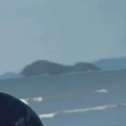 CrispShark0693의 이동혁