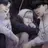 원우진