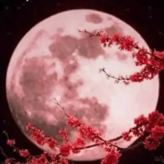 Profile image of 라더