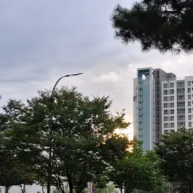 Profile image of 김   운   학