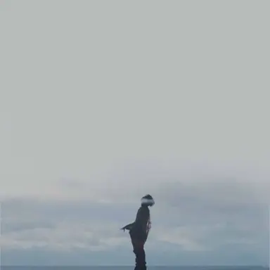 Profile image of ジヨン