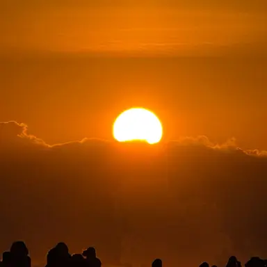 Profile image of 한둉민