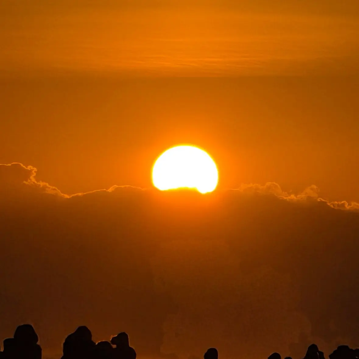 Kimmin9yu의 한둉민