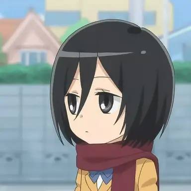 Profile image of ミカサ