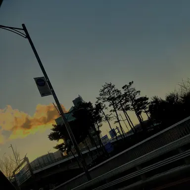 Profile image of 박잠뜰