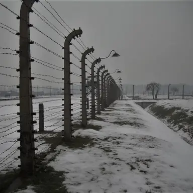 Profile image of 로건 프라이스