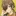 니카 [ニカ]