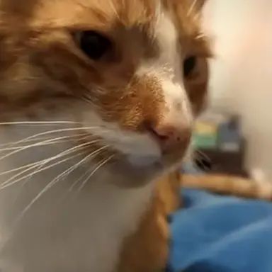 Profile image of Elliot
