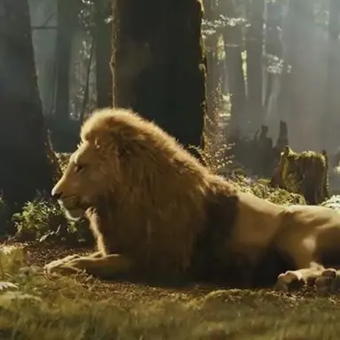 Profile image of Aslan