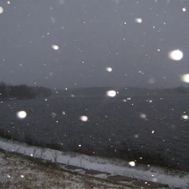 Profile image of Snowtime