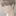 백도훈
