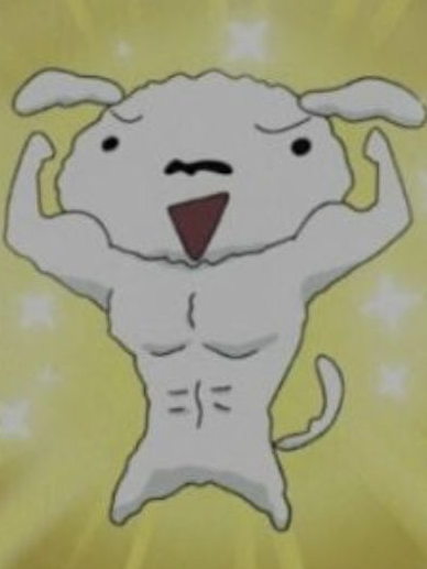 홍명보 대표 이미지