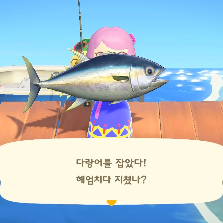 돈이랑 다랑어인가 뭐시기랑 바꾸자는 사람