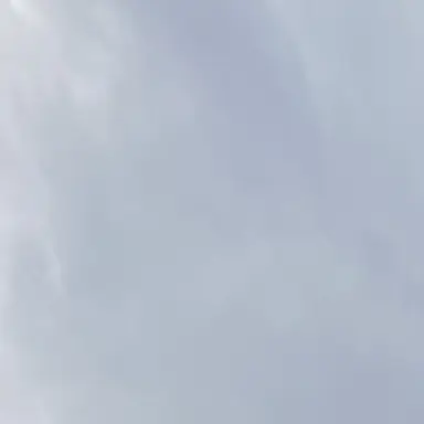 Profile image of 늑대