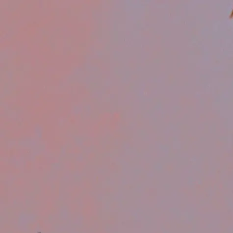 PlacidPetal4596의 メロディー家から追放