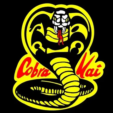 Profile image of Cobra Kai RP