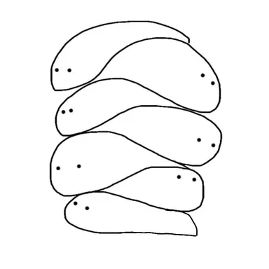 Profile image of もにょっち