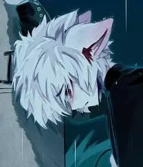 Profile image of Zev