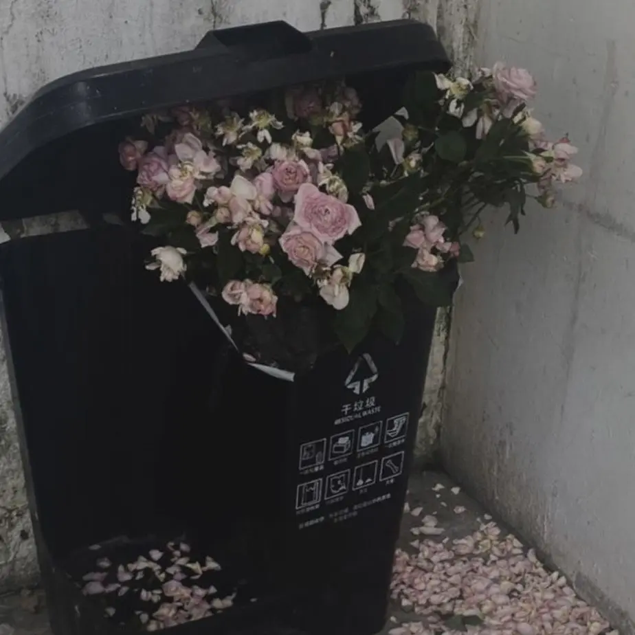 _077의 ㅤ