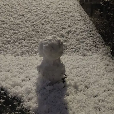 Profile image of 박동