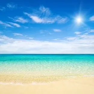 Profile image of 아르민