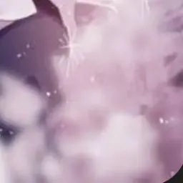 Profile image of 商人