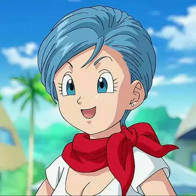 Profile image of ブルマ