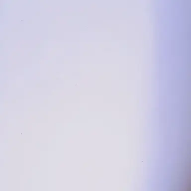 Profile image of おんりー