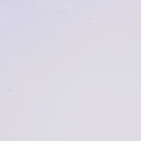 WarmAngel9218의 カッターキャー