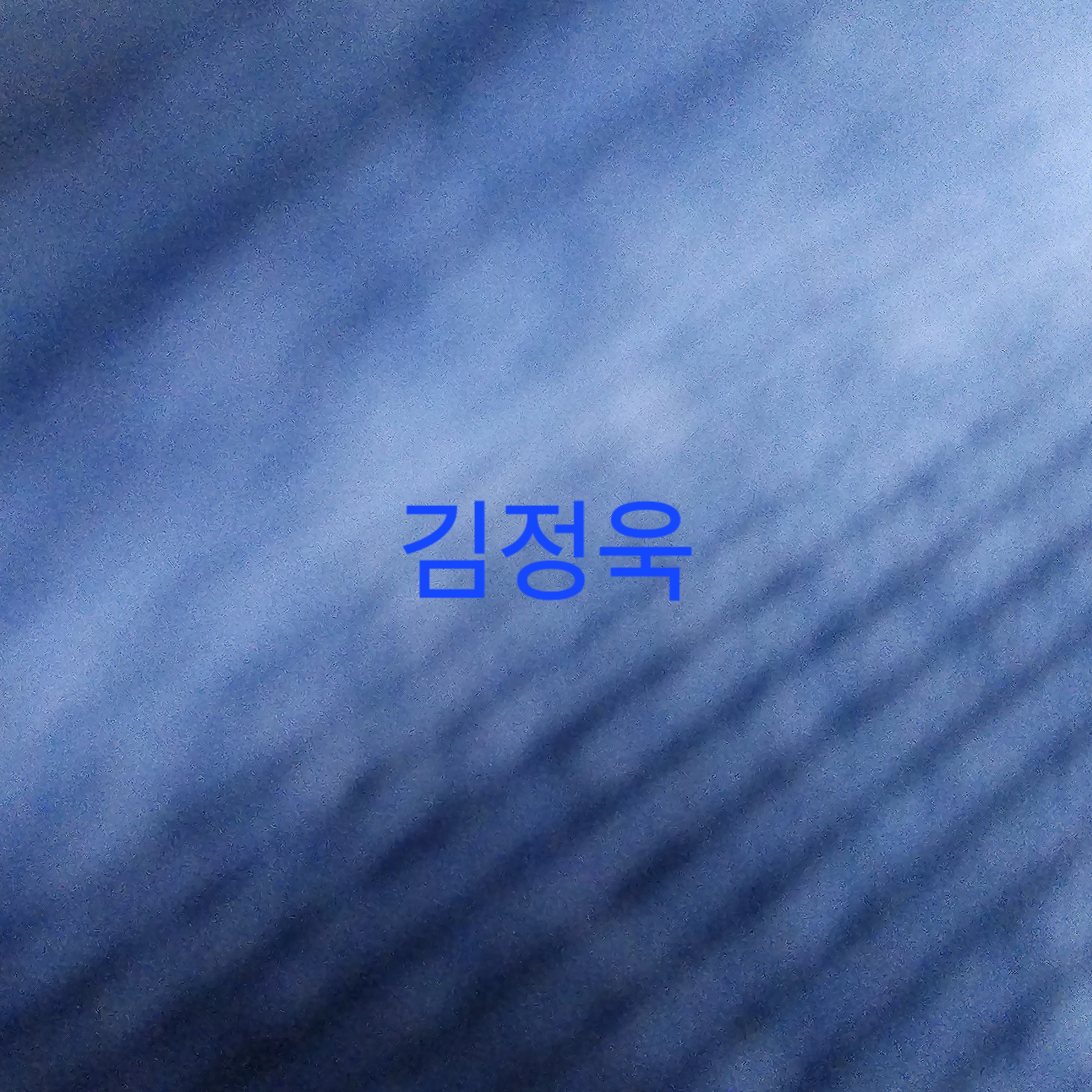김정욱