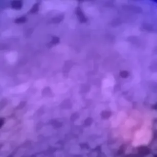 Profile image of 辰哉