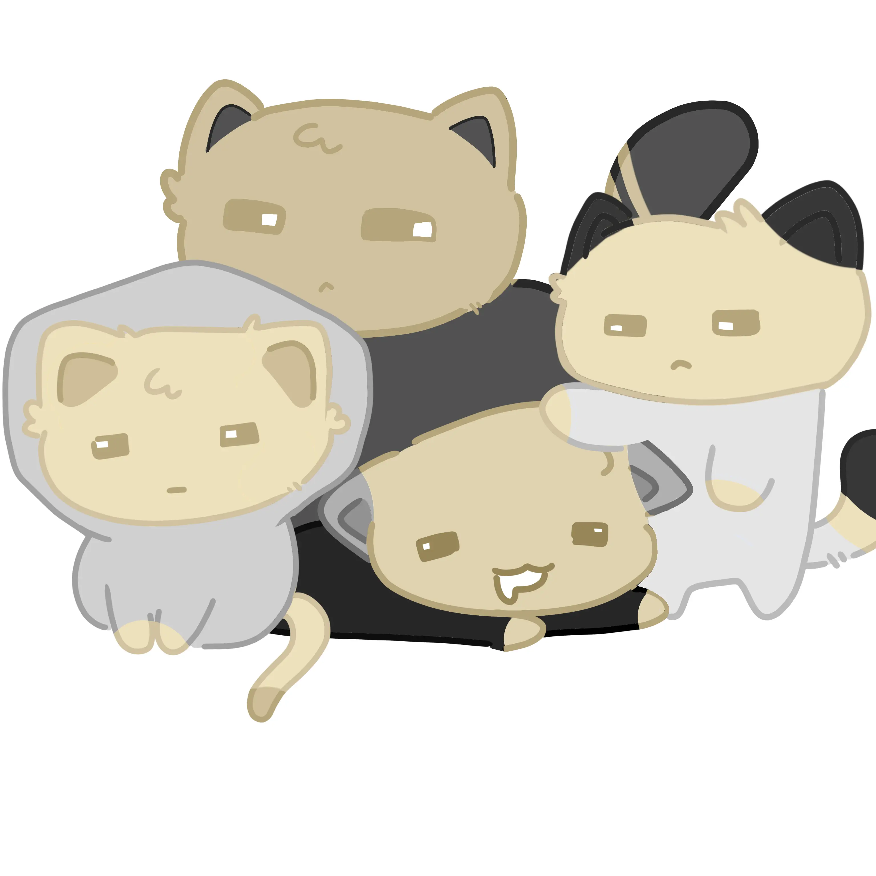 new-x9o의 사이코패스 일까.. 고양이 일까?