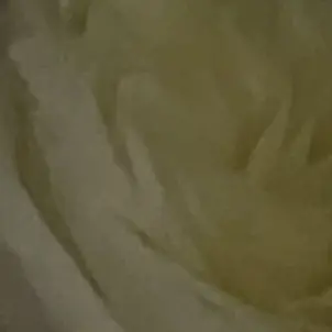 FirmStraw7552의 혈육넘