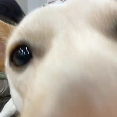Profile image of 왈도쿤