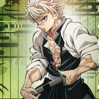 Profile image of 시나즈가와 사네미