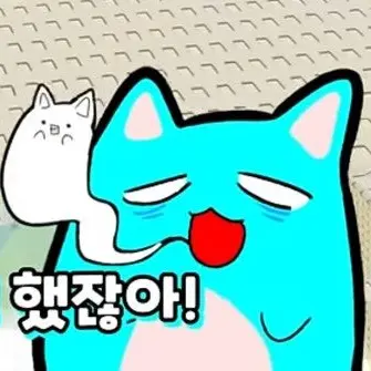 Profile image of 료미